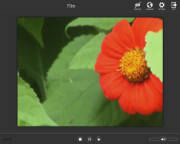 Video Player