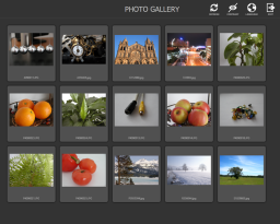 Photo Gallery